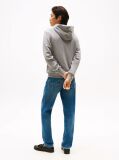 Grey Flag Embroidery Terry Hoody  Men