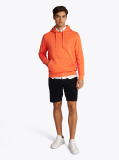 Orange Flag Embroidery Terry Hoody  Men