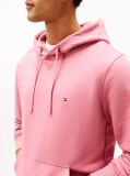 Pink Flag Embroidery Terry Hoody  Men
