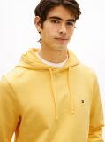 Yellow Flag Embroidery Terry Hoody  Men