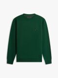 Green Terry Crew Neck Sweatshirt  Men