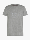 Γκρι T-Shirt Με Κεντητό Λογότυπο  Άνδρες