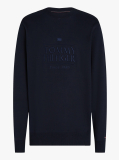 Blue Logo Embroidery Sweatshirt  Men