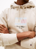 Beige Ithaca Flag Hoodie  Men