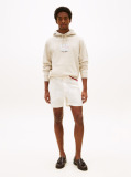Beige Ithaca Flag Hoodie  Men