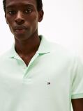 Green Regular Fit Polo Shirt  Men