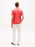 Red Regular Fit Polo Shirt  Men