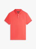 Red Regular Fit Polo Shirt  Men