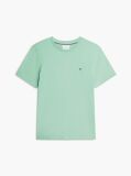 Πράσινο T-Shirt Με Κεντητή Σημαία  Άνδρες