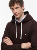 Brown Flag Embroidery Fleece Hoody  Men