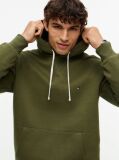 Πράσινο Fleece Hoody Με Κεντητή Σημαία  Άνδρες