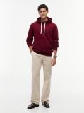 Κόκκινο Fleece Hoody Με Κεντητή Σημαία  Άνδρες