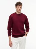 Red Essential Fleece Sweatshirt  Men