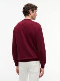 Red Essential Fleece Sweatshirt  Men