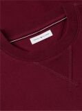 Red Essential Fleece Sweatshirt  Men