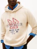 Beige Graphic Terry Drawstring Hoody  Men
