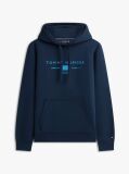 Blue Logo Terry Drawstring Hoody  Men