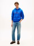 Blue Logo Graphic Hoody  Men