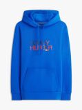 Blue Logo Graphic Hoody  Men