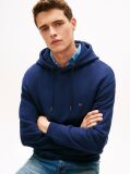 Blue Relaxed Back Flag Terry Hoody  Men