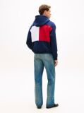 Blue Relaxed Back Flag Terry Hoody  Men