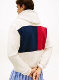 Beige Relaxed Back Flag Terry Hoody  Men