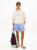 Beige Relaxed Back Flag Terry Hoody  Men