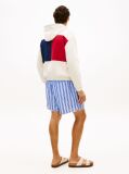 Beige Relaxed Back Flag Terry Hoody  Men