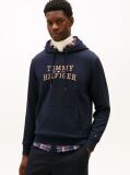 Blue Logo Graphic Hoody  Men