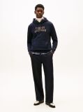 Blue Logo Graphic Hoody  Men