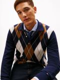 Blue Argyle Rugby Collar Jumper  Men