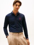 Blue TH Crest Regular Fit Polo Shirt  Men