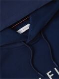 Blue Logo Drawstring Hoody  Men