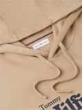 Μπεζ Βαμβακερό Hoody Με Λογότυπο  Άνδρες