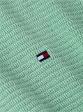 Green Regular Fit Knit Polo Shirt  Men