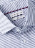 Blue Slim Fit Stripe Shirt  Men