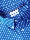 Blue Regular Fit Flex Stripe Shirt  Men