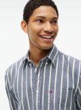 Multi Regular Fit Brushed Flannel Stripe Shirt  Men