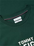Green Contrast Logo Crew Neck Jersey T-Shirt  Men