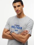 Grey Contrast Logo Crew Neck Jersey T-Shirt  Men