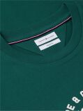 Green Varsity Logo Peached Jersey T-Shirt  Men