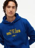 Blue Logo Embroidery Fleece Hoody  Men