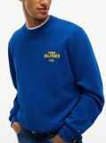 Blue 1985 Logo Terry Crew Neck Sweatshirt  Men