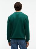 Green Peached Fleece Crew Neck Sweatshirt  Men