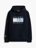 Μπλε Άνετο Fleece Hoody Με Λογότυπο  Άνδρες
