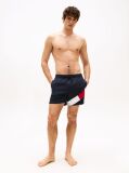 Blue Tommy Flag Swim Shorts  Men