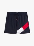 Blue Tommy Flag Swim Shorts  Men