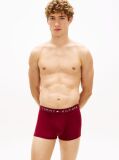 Multi 3-Pack TH Original Logo Waistband Trunks  Men