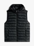 Black Padded Global Stripe Vest  Women