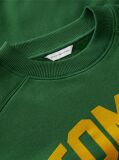 Green Flock Varsity Logo Oversized Sweatshirt  Women